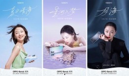 盐城金鹰爆料最新消息新闻,聚焦重大新闻事件深度解析